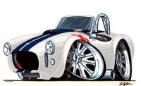 Cobra_Graphic_Small