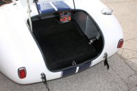 6_Trunk-1